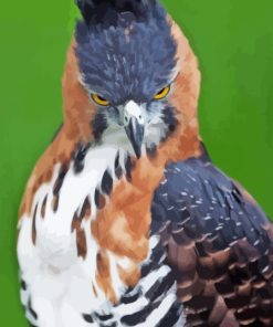 Ornate Hawk Eagle Diamond Painting
