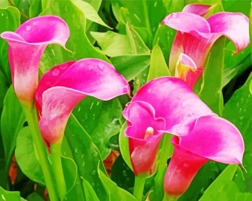 Pink Calla Lily Flowers Diamond Painting