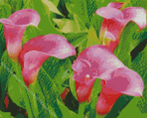 Pink Calla Lily Flowers Diamond Painting