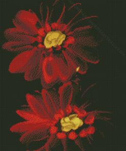 Red Gerbera Daisy Flowers Diamond Painting