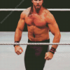 Seth Rollins Diamond Painting