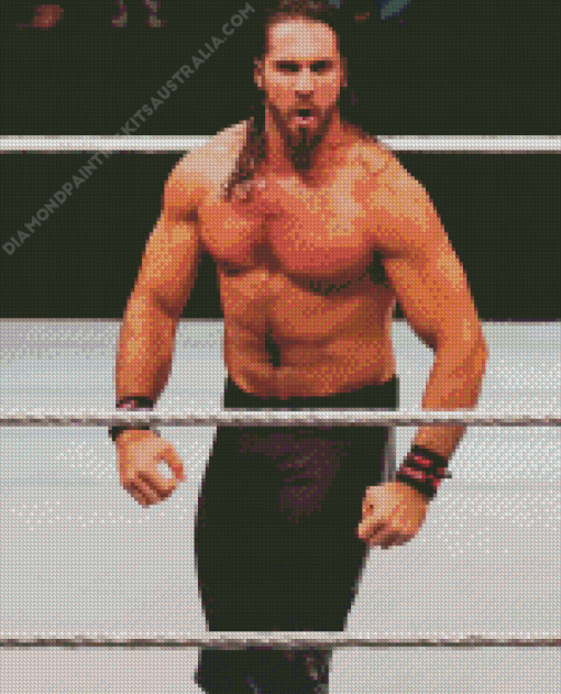 Seth Rollins Diamond Painting