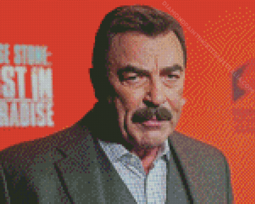 Tom Selleck Celebrity Diamond Painting