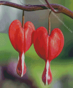 Two Red Bleeding Heart Diamond Painting