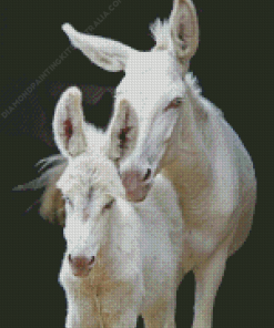 White Donkeys Diamond Painting
