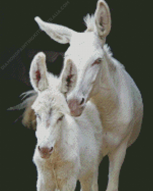 White Donkeys Diamond Painting