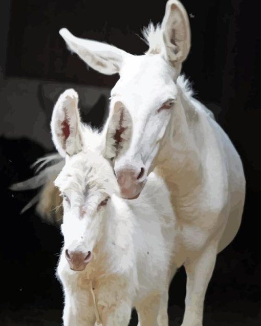 White Donkeys Diamond Painting