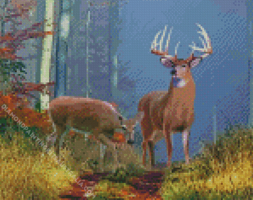 Whitetail Deer Diamond Painting