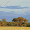 Africa Bulawayo Nature Diamond Painting