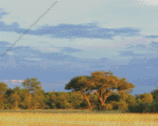 Africa Bulawayo Nature Diamond Painting