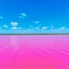 Australia Pink Lake Diamond Painting