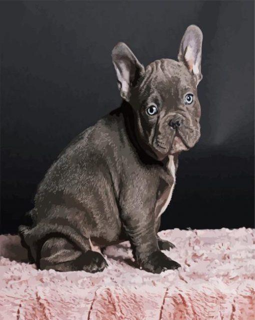 Black Frenchie Bulldog Diamond Painting