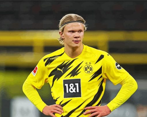 Bvb Erling Haaland Diamond Painting