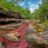 Cano Cristales River View Diamond Painting