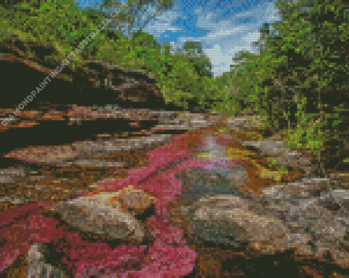 Cano Cristales River View Diamond Painting