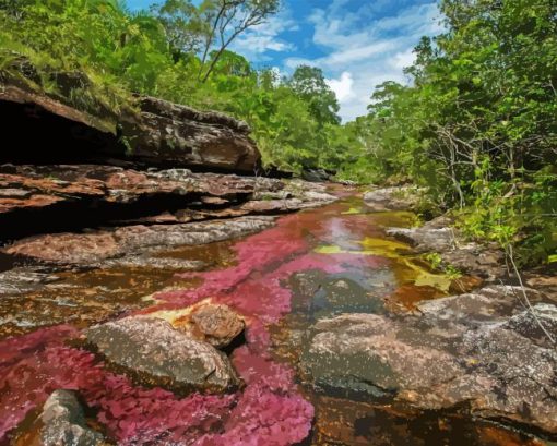 Cano Cristales River View Diamond Painting