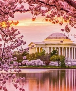 Cherry Blossoms Washington Dc Diamond Painting