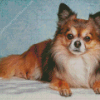 Cute Brown Chihuahua Diamond Painting