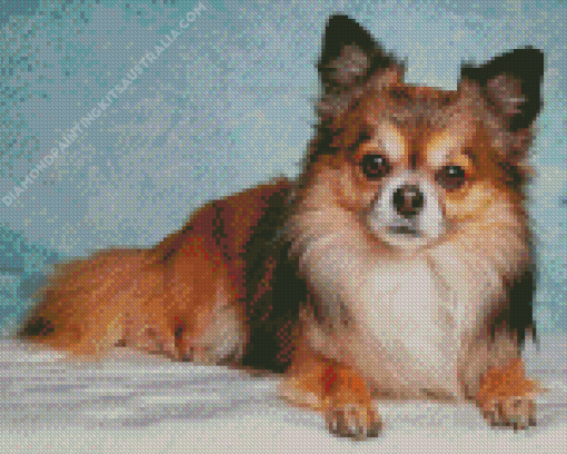 Cute Brown Chihuahua Diamond Painting