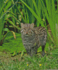 Cute Fishing Cat Diamond Painting