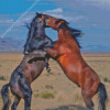 Fighting Horses Diamond Painting