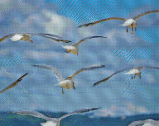 Flying Seagull Birds Diamond Painting