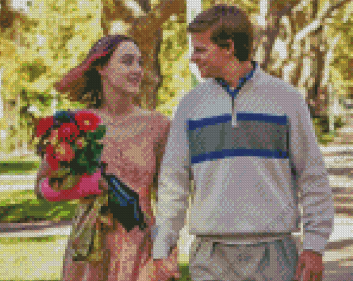 Lady Bird Movie Diamond Painting