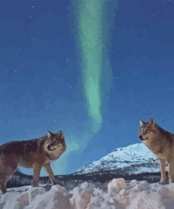 Norway Wolves Diamond Painting