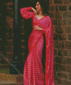 Pink Saree Diamond Painting