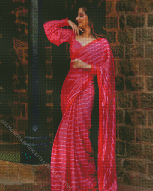 Pink Saree Diamond Painting