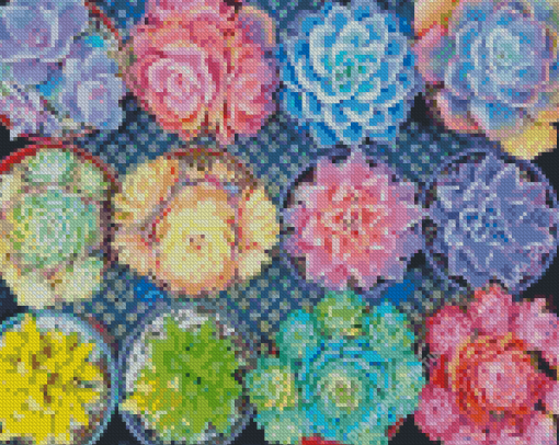 Succulent Pots Diamond Painting