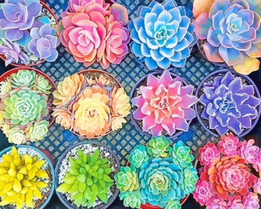 Succulent Pots Diamond Painting