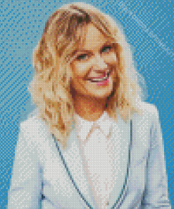 The American Comedian Amy Poehler Diamond Painting