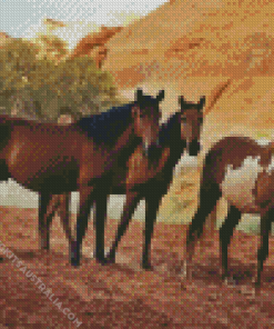 Wild Brown Horses Diamond Painting