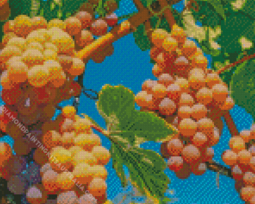 Yellow Grape Vines Diamond Painting
