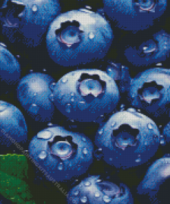 Blueberries Fruit Diamond Painting