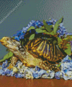 Box Turtle Diamond Painting