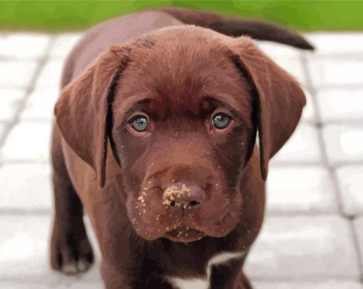 Brown Labrador Diamond Painting