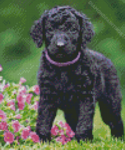 Curly Puppy With Flowers Diamond Painting