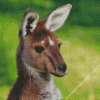 Cute Kangaroo Diamond Painting