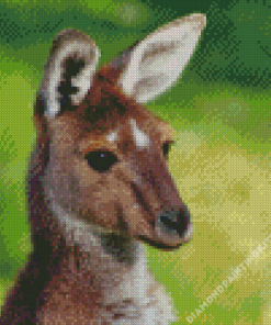 Cute Kangaroo Diamond Painting