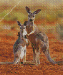 Mom And Baby Kangaroo Diamond Painting