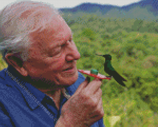David Attenborough Diamond Painting