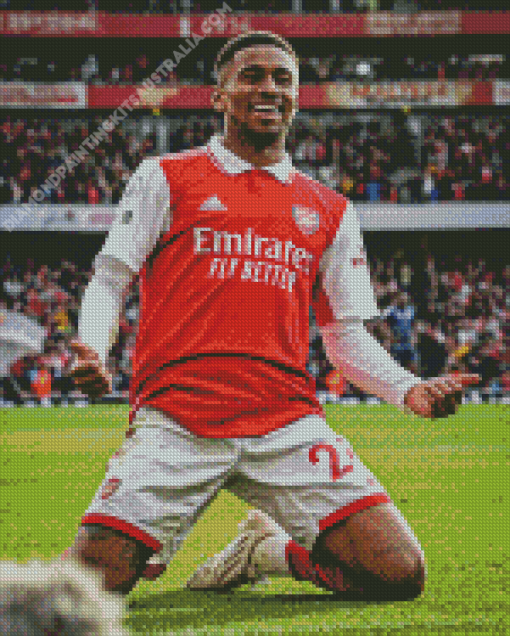 Happy Reiss Nelson Diamond Painting