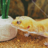 Leopard Gecko Diamond Painting