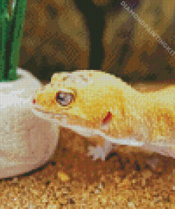 Leopard Gecko Diamond Painting