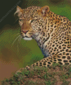 Maasai Mara Leopard Diamond Painting