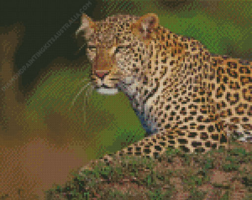 Maasai Mara Leopard Diamond Painting