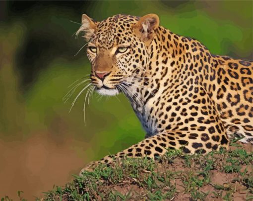 Maasai Mara Leopard Diamond Painting