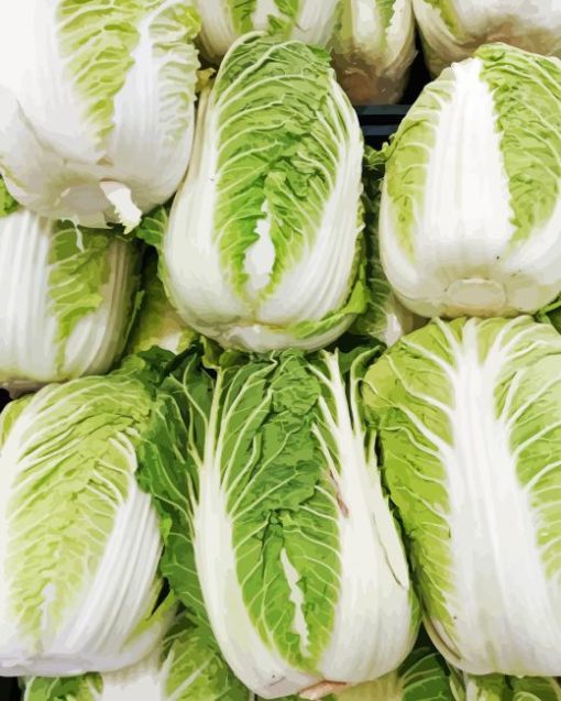 Napa Cabbage Diamond Painting